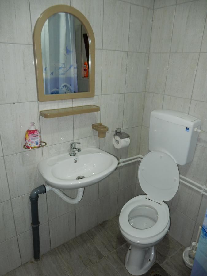 Panorama Lomnica Bed & Breakfast Despotovac Exterior photo