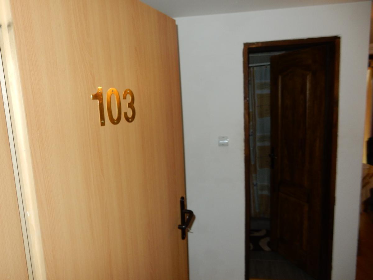 Panorama Lomnica Bed & Breakfast Despotovac Exterior photo